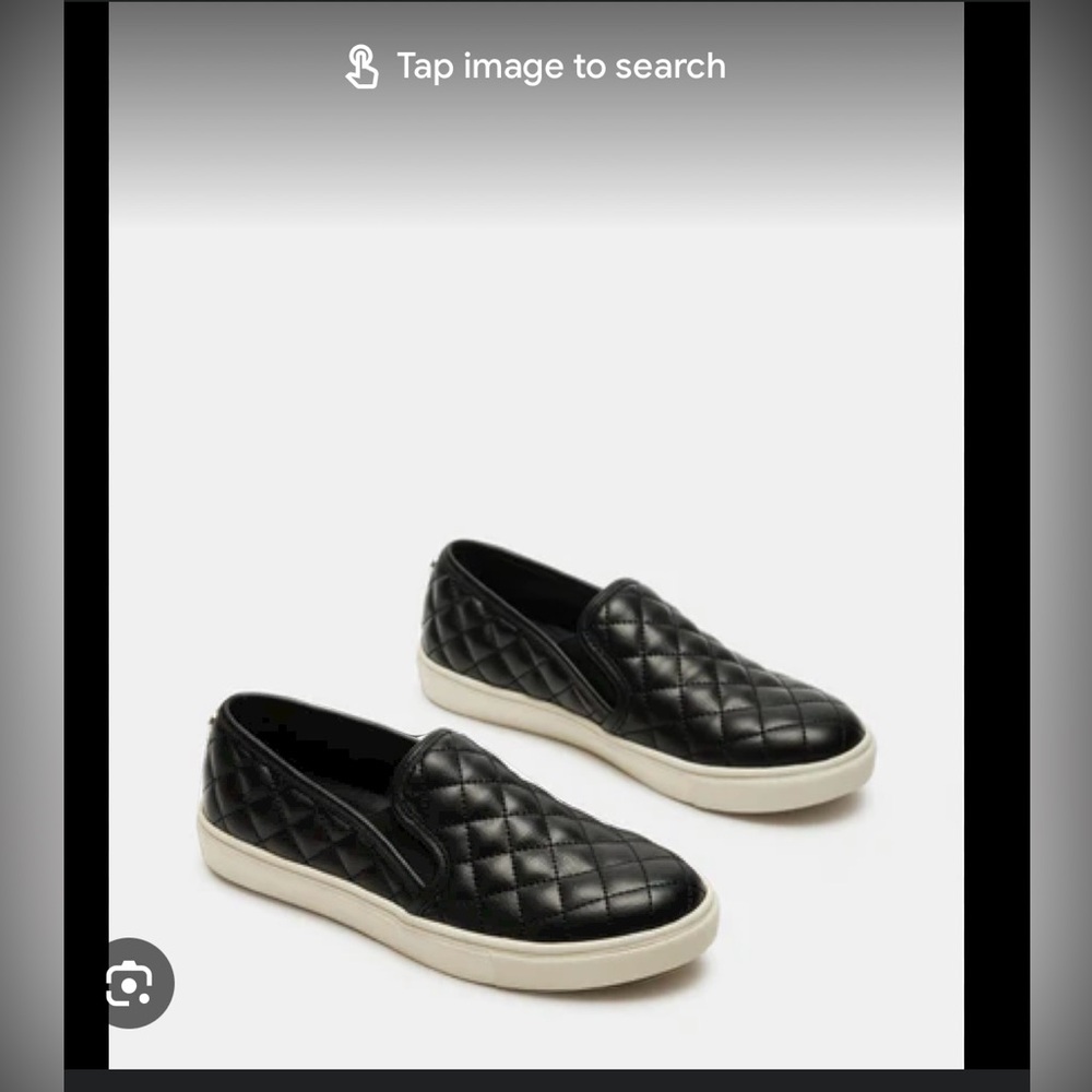 STEVE MADDEN Encentrcq Slip on Shoe